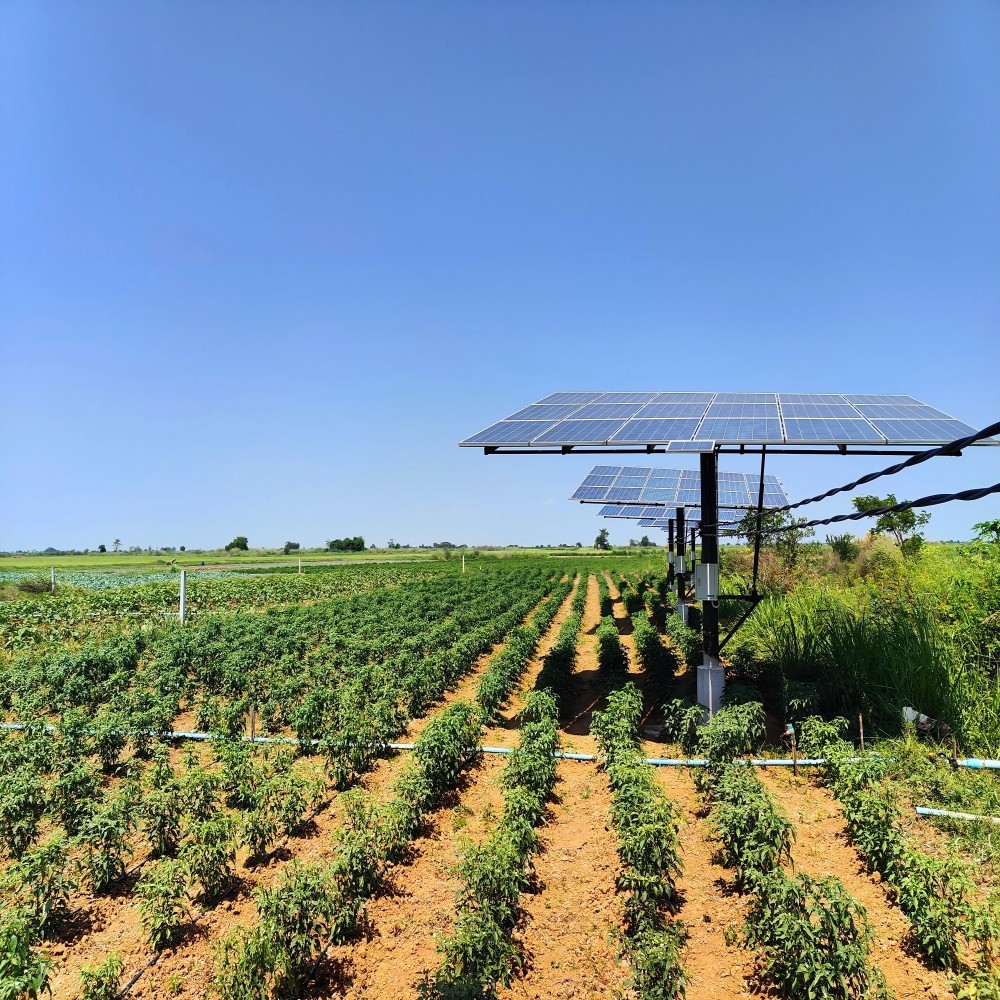 Solar Drip Irrigation Solution